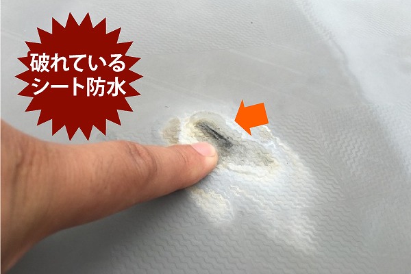 陸屋根の劣化状況