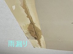 雨漏りの原因を追究します