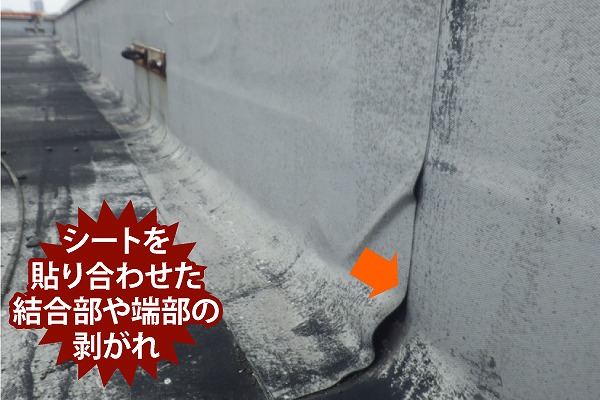 陸屋根の劣化状況