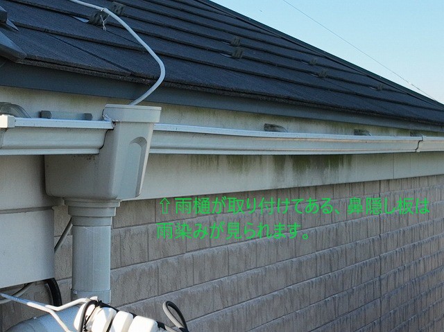 雨樋　鼻隠し板