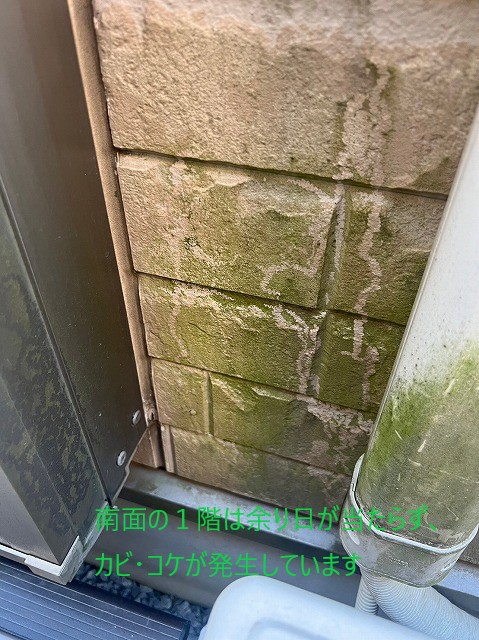 日陰の外壁にはコケが