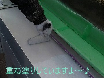 外壁の凸凹を生かした塗装をしました