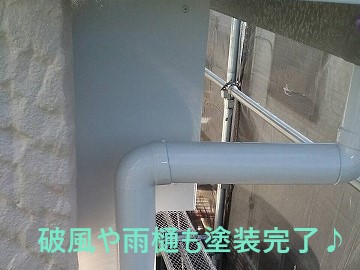 外壁の凸凹を生かした塗装をしました