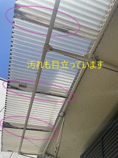 テラス屋根汚れ