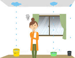 漆喰の詰め直し工事を実施しました♪