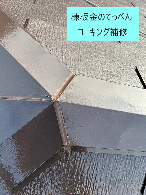 棟板金のてっぺんコーキング補修