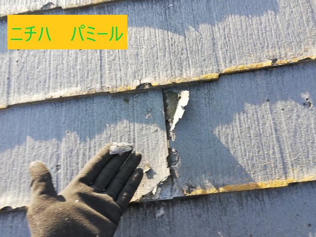 ニチハパミール