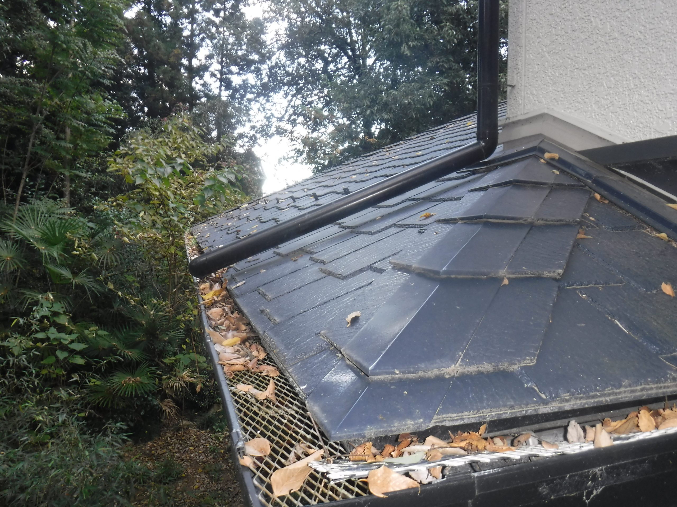 落ち葉除けネット