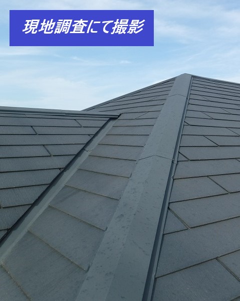 現地調査にて撮影