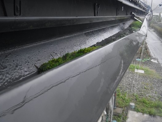 雨樋