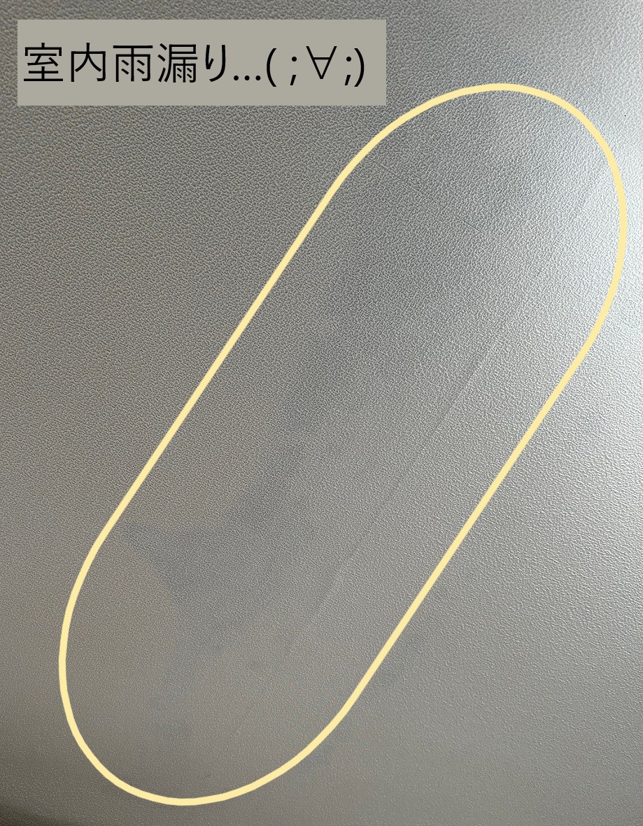 他の室内にも雨染み発生していました