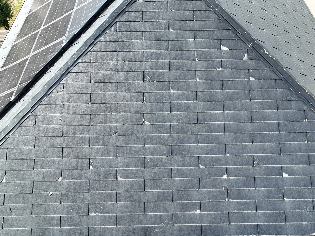 グリシェイドNEO