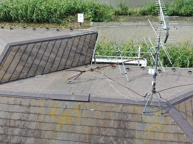 倒れてるアンテナ