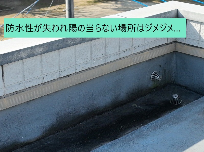 雨漏りの原因　防水シートの亀裂