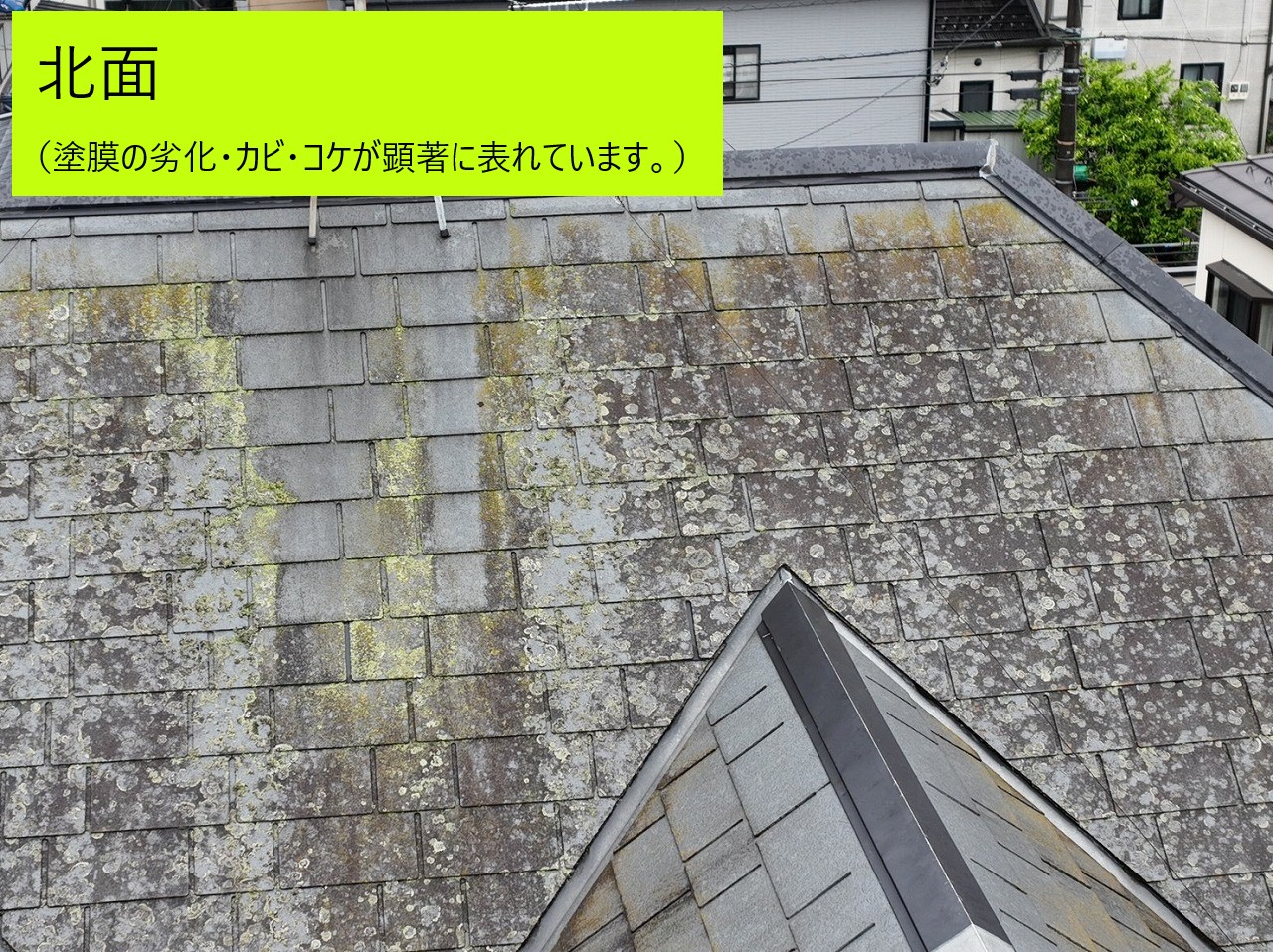 屋根北側の状態は？