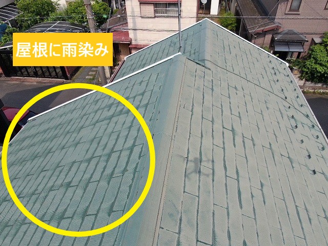 屋根雨染み