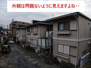 外観はきれいです