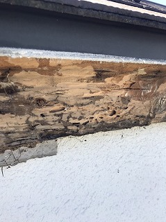 破風腐食部分虫食い