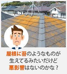 屋根が壊れていると違和感を感じたらご相談くださいね(^^♪