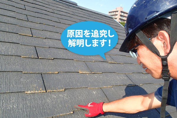 屋根点検　専門家が教える屋根診断