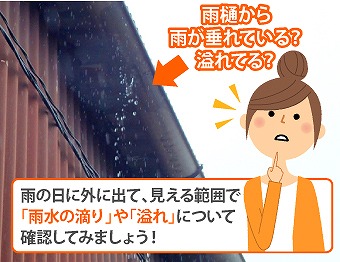 雨樋掃除　落ち葉除けネットで詰まり知らず♪