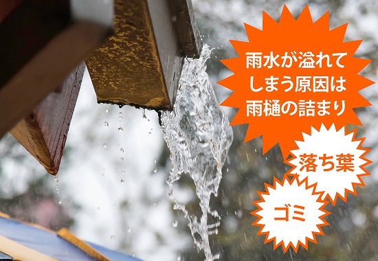 雨樋掃除　落ち葉除けネットで詰まり知らず♪