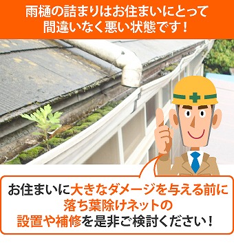 雨樋掃除　快適な暮らしを守る秘訣お教えします♪