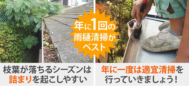 雨樋掃除　落ち葉除けネットで詰まり知らず♪