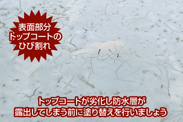 実際に現地で点検を行ったところ、以下の不具合が確認できました。