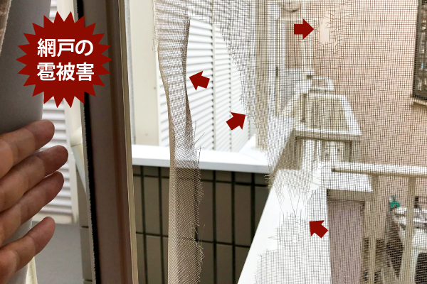 雹被害　カーポートや雨樋は大丈夫ですか？