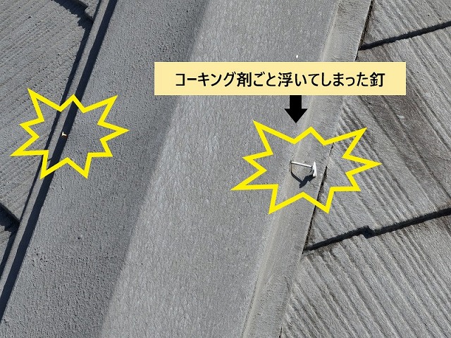 浮いた釘の拡大写真