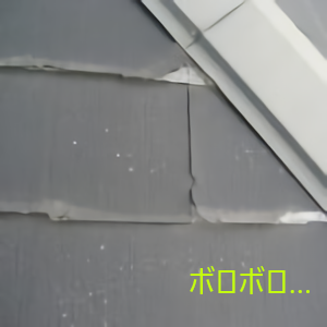 パミールボロボロ