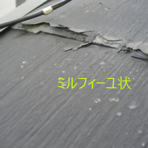 パミールミルフィーユ