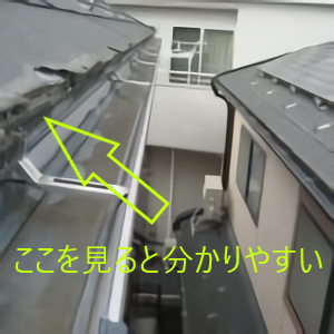 パミールここを見てみて