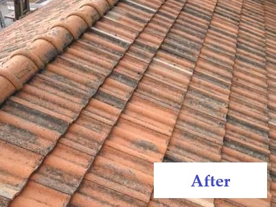 施工例③施工後