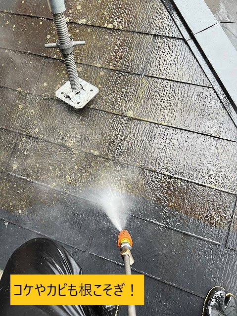 屋根の洗浄コケカビ