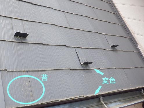 化粧スレートの変色、苔