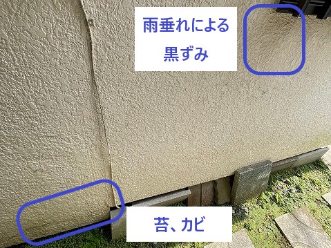 外壁の黒ずみや苔、カビ
