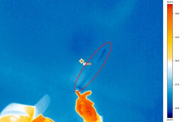 サーモグラフィーで点検口の雨漏りを発見