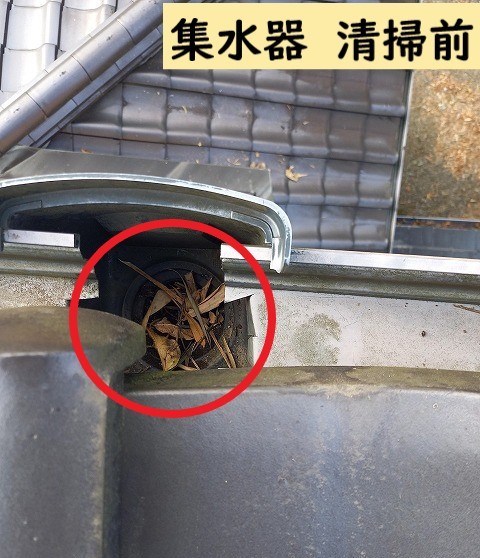 集水器に枯れ葉が詰まっている