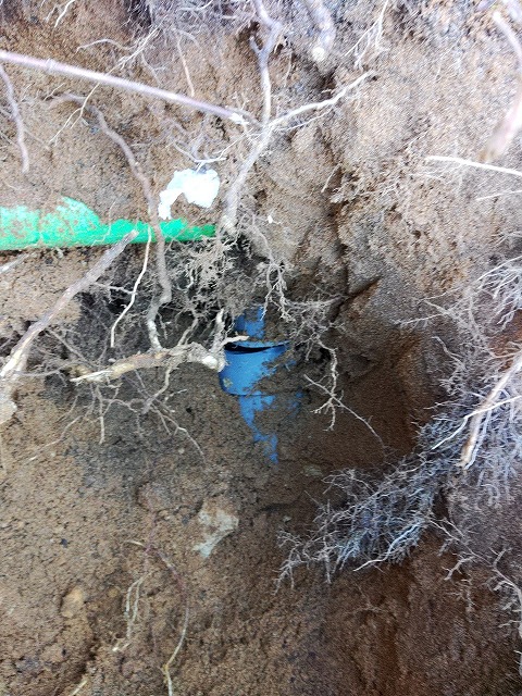 土に埋もれた配管