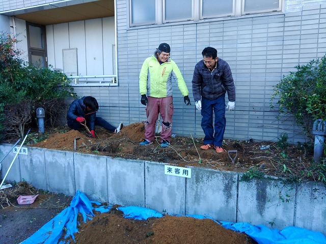 植込みの土を掘っている