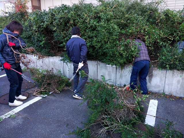 ビルの植込みの伐採をしているところ