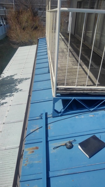 棒葺き屋根の現地調査を行っている