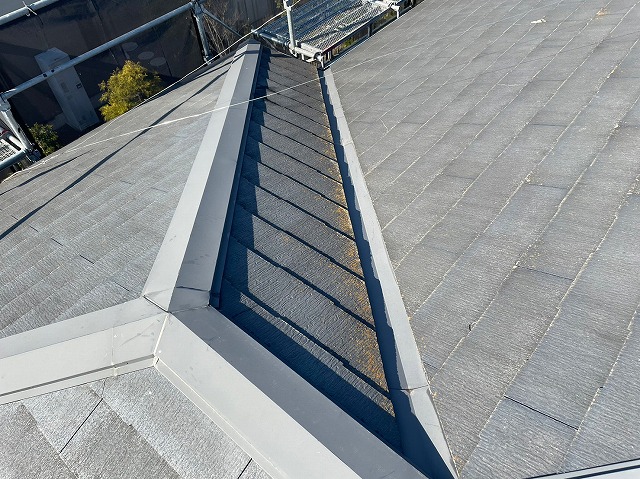 苔が発生しているスレート屋根