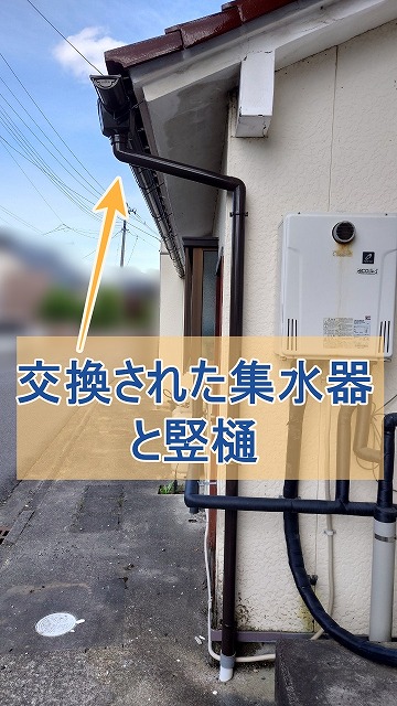 交換後の集水器と竪樋
