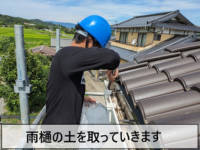 雨樋にある土を取っているところ