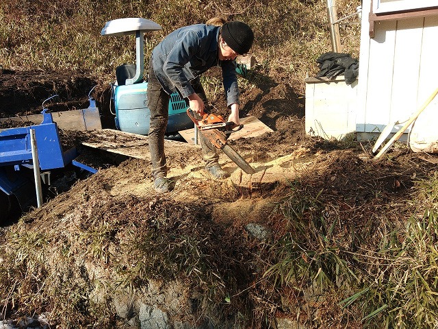 家の角にあった木を伐採しているところ