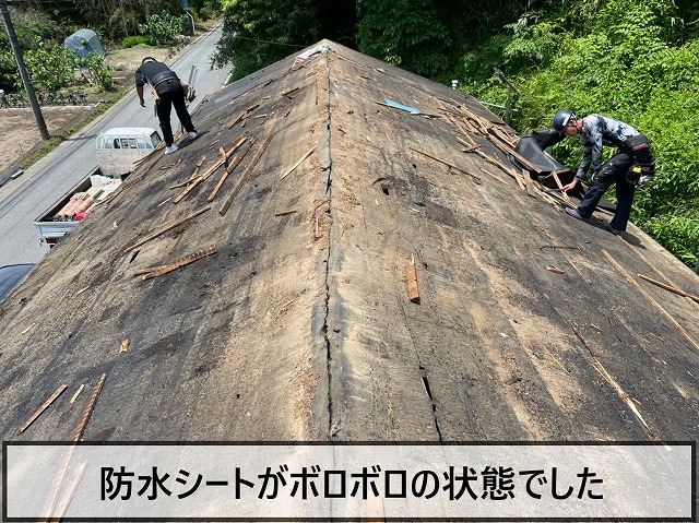 既存の防水シートがボロボロの状態