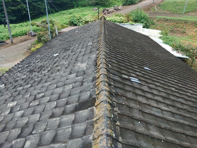 経年劣化でコケやカビが発生してしまった瓦屋根